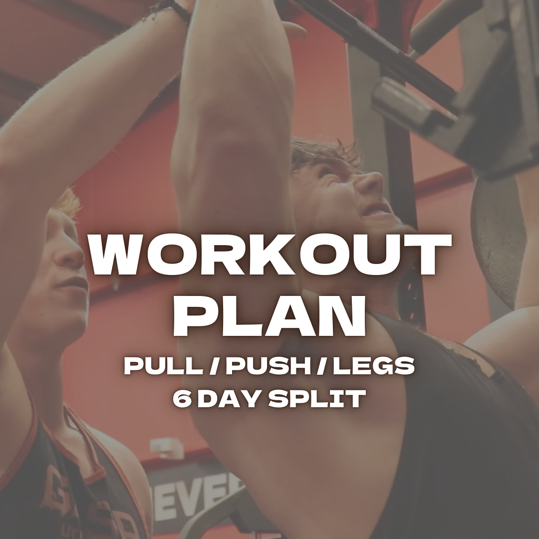 Workout Plan - Pull / Push / Legs 6 Day Split