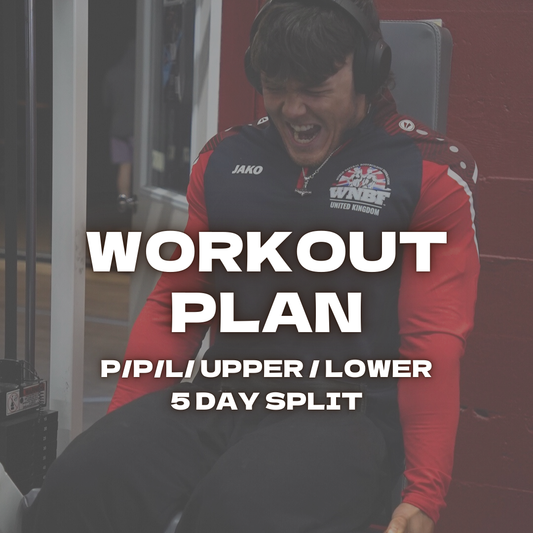 Workout Plan - P/ P/ L/ Upper/ Lower 5 Day Split